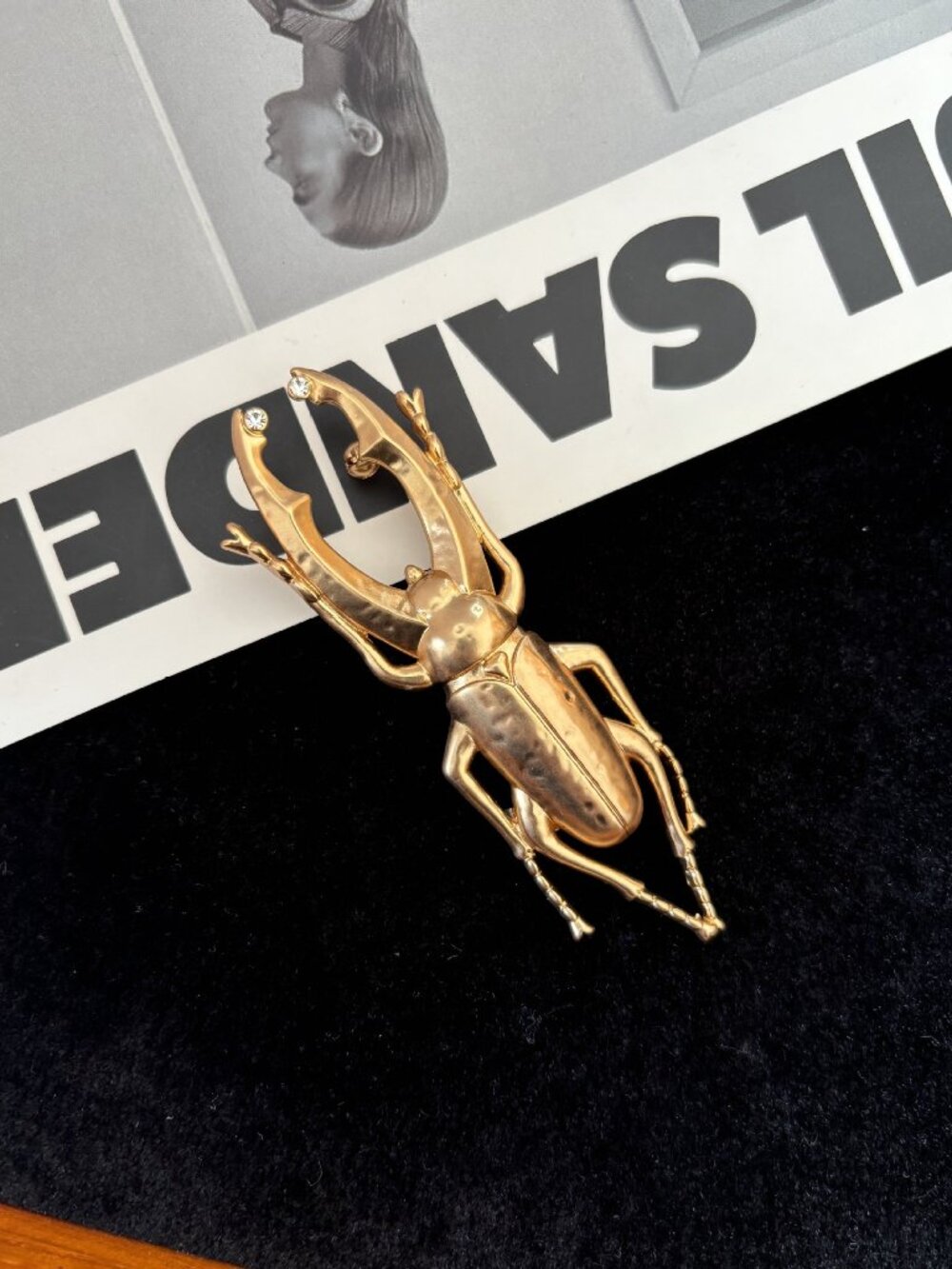 Schiaparelli Insect Series Brooch
